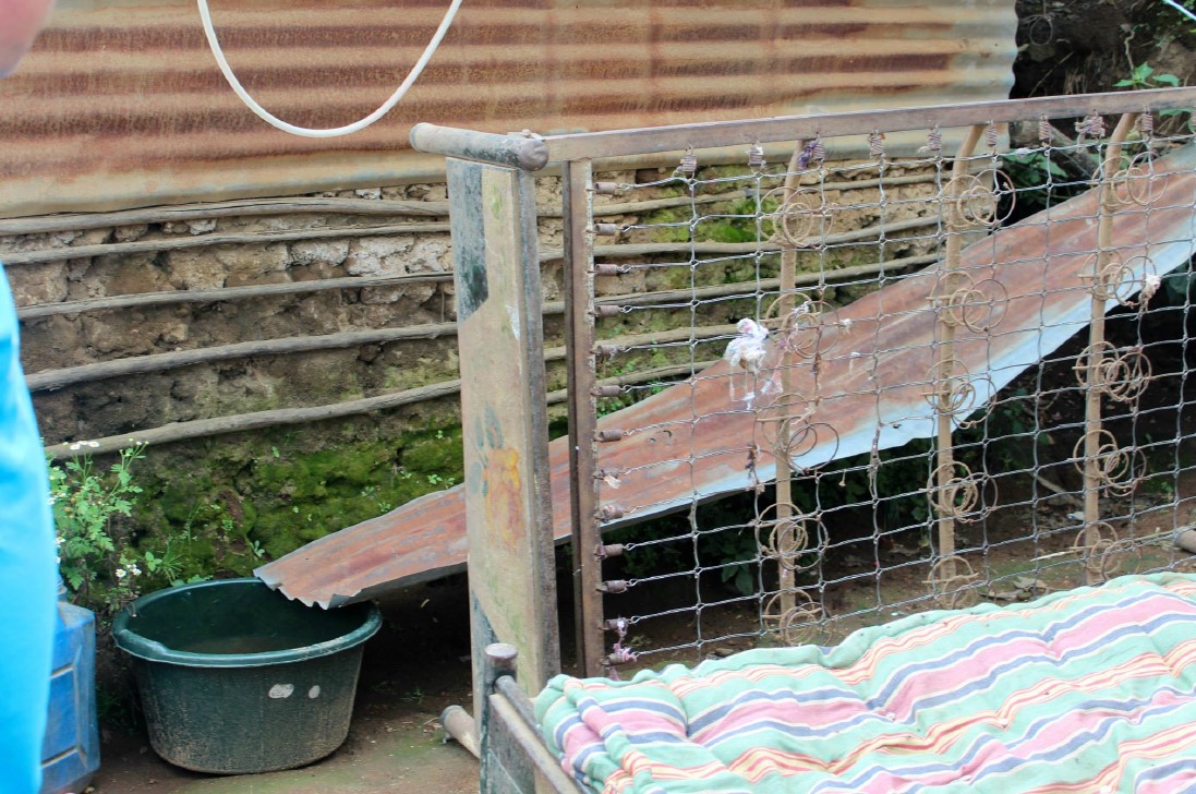 Rusty sheet metal collects rainwater for a family in Guatemala