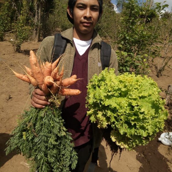 Poor people in Guatemala sometimes have to decide between feeding their kids, educating them, or taking them to the doctor.  The addition of community gardens allows families to consider education and healthcare after food needs are met.